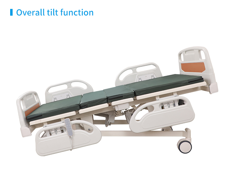 Electric Patient Adult Medical Beds